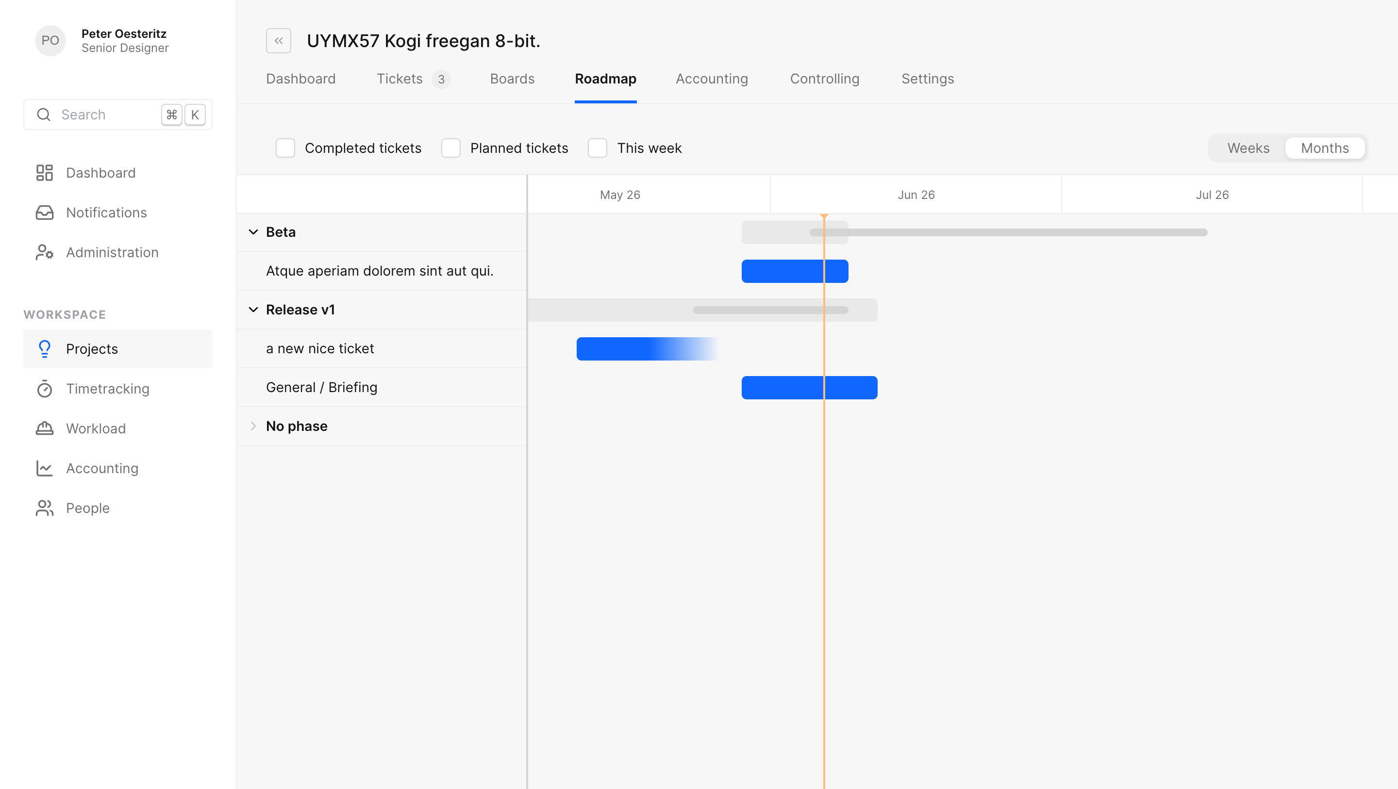 The docket roadmap with project phases as bars on a monthly timeline
