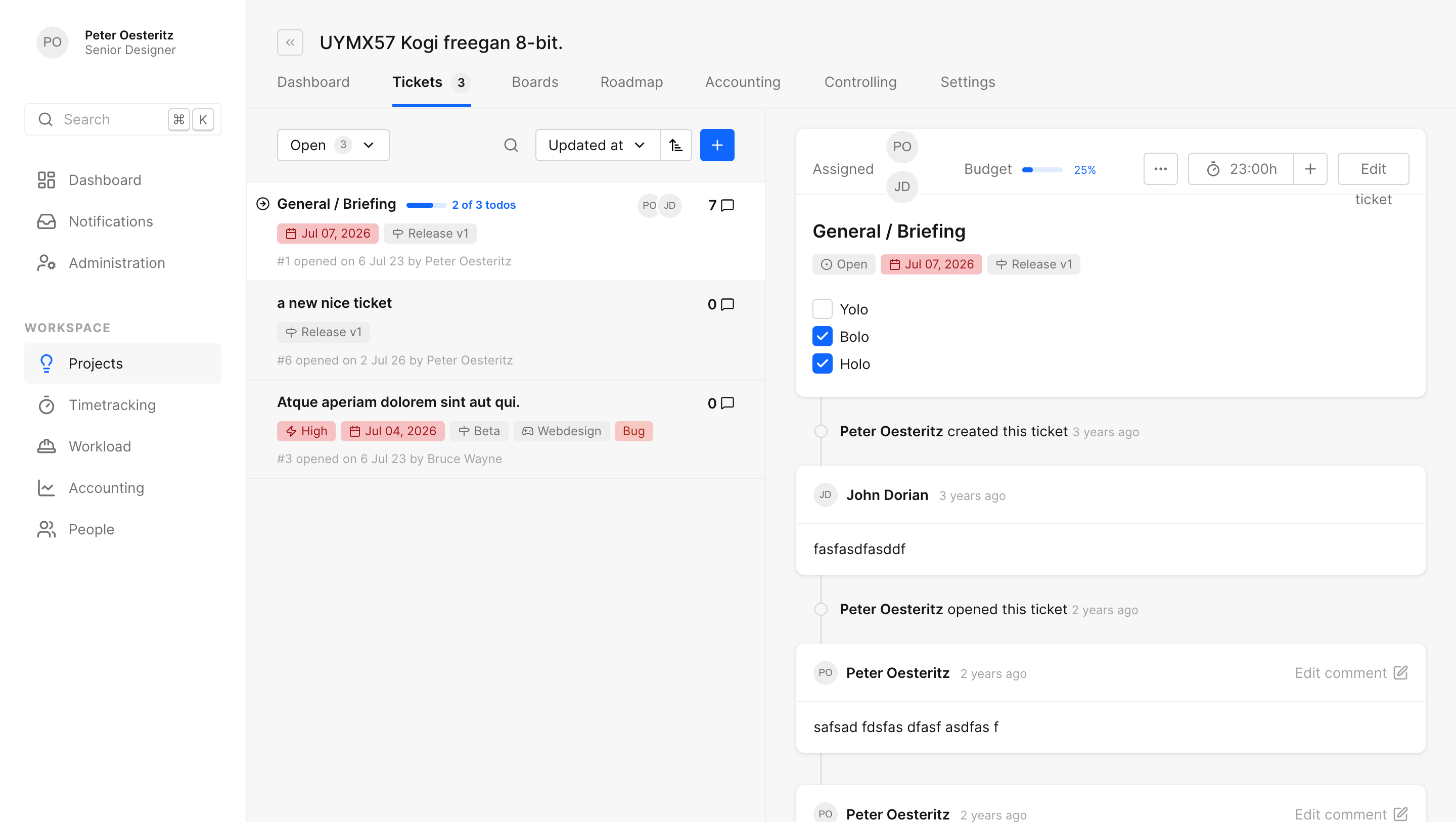 A project's ticket list next to an open ticket with todos and comments